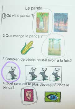 fiche de connaissance sur le panda