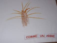 arbre marron