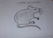 souris grise