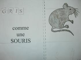 gris comme une souris