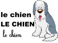 affiche du chien des musiciens de Brême