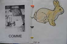 lettre L comme lapin