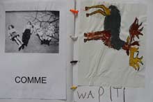 lettre W comme wapiti