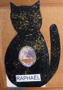 chat noir avec paillettes