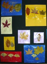 tableau avec des feuilles séchées