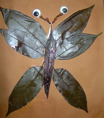 papillon en feuilles d'arbre