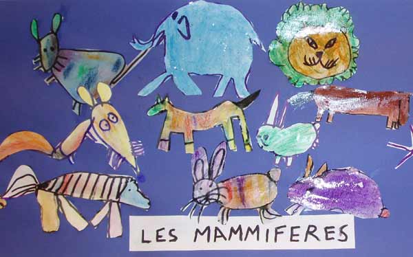 mammifères