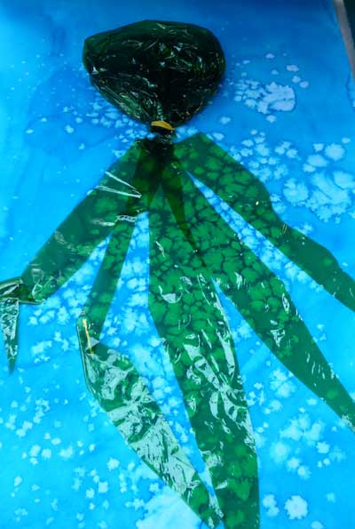 méduse en plastique verte