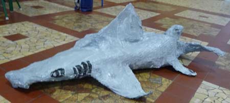 requin en volume