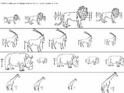 fiche sur des animaux à classer