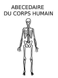 abécédaire de du corps humain