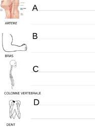 abécédaire de Paris