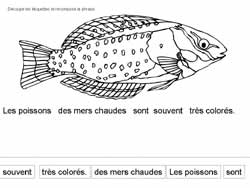 fiche avec une phrase à recomposer remettant des mots dans l'ordre