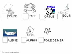 fiche de phonologie ou l'on doit écrire la première lettre d'animaux marins