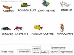 fiche sur les poissons pour faire correspondre des étiquettes en script avec des étiquettes en capitales d'imprimerie