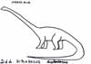 coloriage de diplodocus