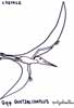 coloriage de quetzalcoatlus