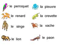 mots en script sur les animaux