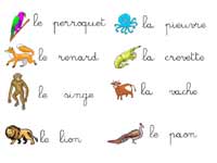 mots en cursives sur les animaux