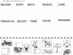 fiche de lecture ou il faut faire correspondre des images et des mots