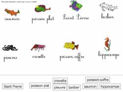 fiche sur les poissons pour faire correspondre des étiquettes en script avec des étiquettes en cursive