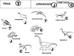 fiche de math avec des dinosaures et un code lettre pour dire à quelle ère ils appartiennent