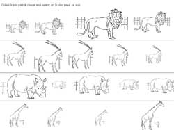 animaux de différentes tailles à ordonner