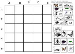 fiche pour coller des insectes dans les cases dont les coordonnées sont indiquées à côté de ces derniers