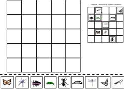 fiche pour coller des insectes dans la case dont les coordonnées sont indiquées à côté de ce dernier