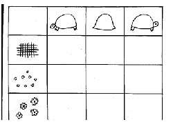 tableau à double entrée avec tortues et décorations