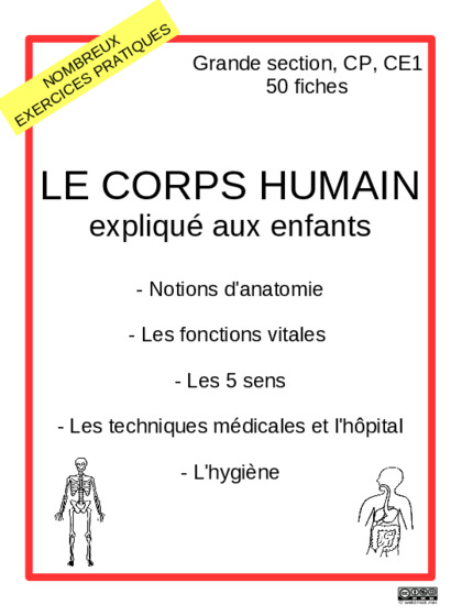 fichier sur le corps humain